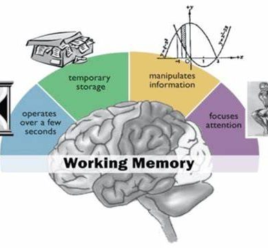Forgetting may make your mind more efficient