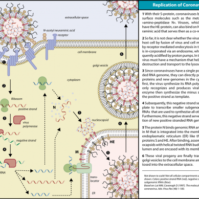 Pivot point:  Efforts shift from vaccine to tracking origin of coronavirus