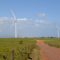 Ethiopia ready to build a 100mw wind power plant