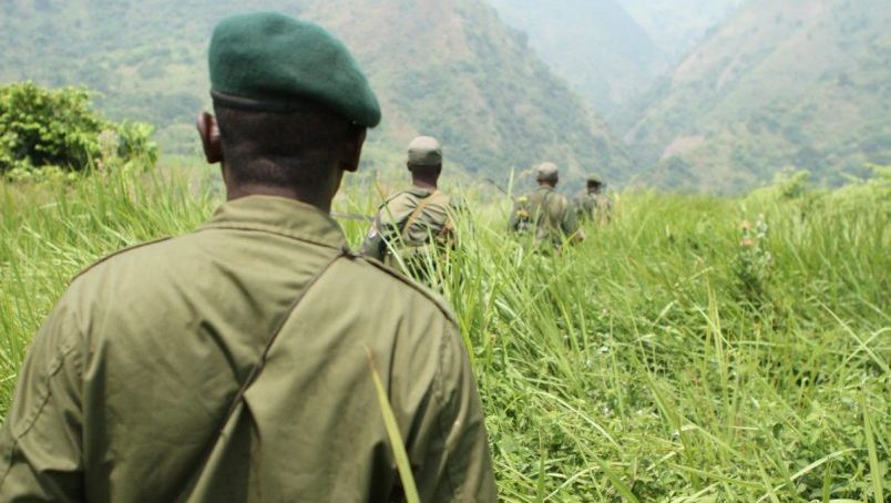 Land pressure, instability in eastern DRC pose a threat to Virunga national park