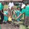 Global pharmaceutical firm AstraZeneca starts 120,000 tree project in Kenya