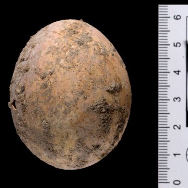 Chicken egg, 1,000 years old, found intact by Israel archaeologists in Yavne city