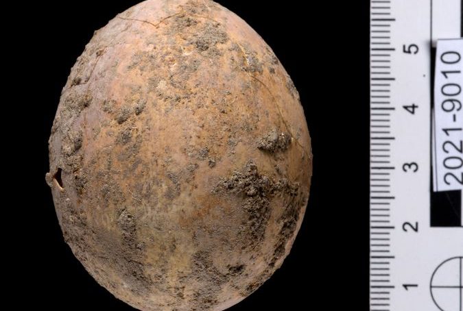 Chicken egg, 1,000 years old, found intact by Israel archaeologists in Yavne city