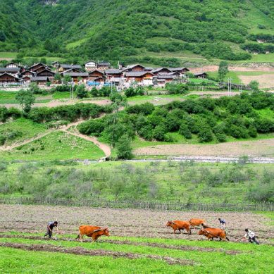 China: Farming having become more mechanised, ecotourism inspires people to live in villages