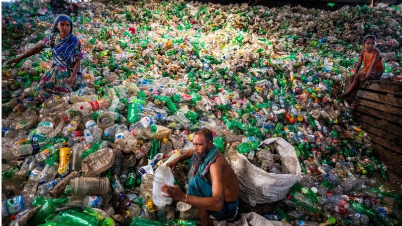 Scientists discover fungus and bacteria that can ‘eat’ up and break down plastics