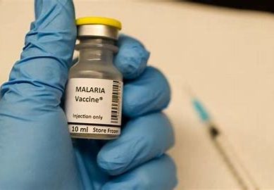 Vaccine made of live malaria parasites shows early success in clinical trial