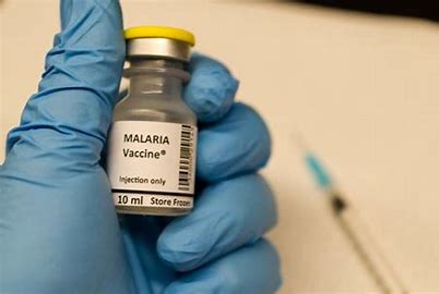 Vaccine made of live malaria parasites shows early success in clinical trial