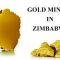 Details of the rot in Zimbabwe’s mining industry spotlights how army keeps Zanu in power