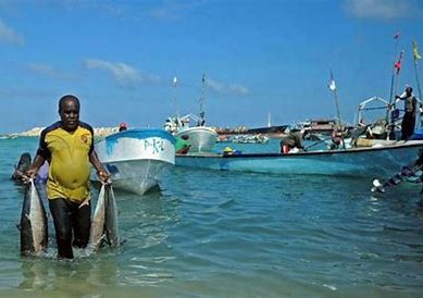 While Somali warlords brutally slaughter each other, foreigners catch their fish for a song