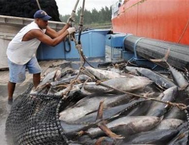 Unreported and unregulated fishing by Chinese in Ghanaian waters is rife, now killing fishing industry