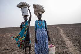 Fighting between community militias in South Sudan creates high levels of food insecurity