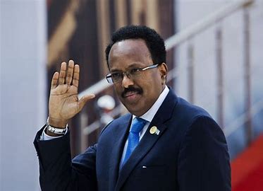 Somalia’s president berates Djibouti for ‘illegally’ detaining his security advisor