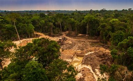 How corrupt Bolsonaro government has ramped up illegal mining in Brazil’s Amazon rainforest