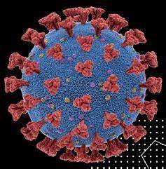 Covid hybrid immunity studies show vaccination after infection offers stronger virus resistance