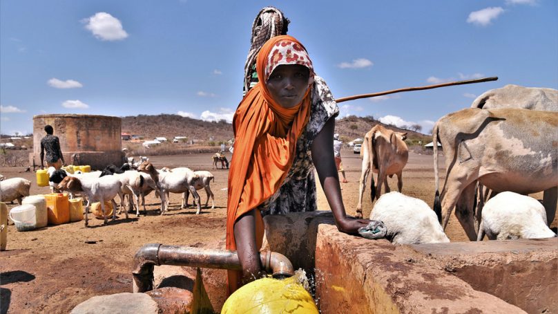 Kenya’s pastoralists wary of middlemen lying in wait to make a killing as they wallow in misery