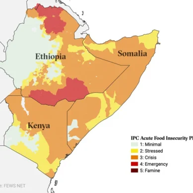 Alarm bells in Horn of Africa are tolling about unprecedented drought with some 20m people at risk of famine