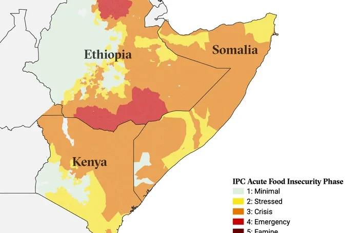 Alarm bells in Horn of Africa are tolling about unprecedented drought with some 20m people at risk of famine