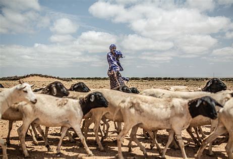 <strong>How fallout from war in Ukraine will affect cost of food and fuel as ‘real risk of famine’ looms in Horn of Africa</strong>