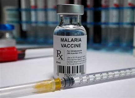 First malaria vaccine is a leap forward, but it is suicidal for the world to stop pumping money into more research