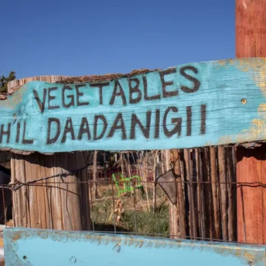 To reclaim ‘soil justice’ Diné Nation in US taxed junk food and used proceeds to fund community wellness