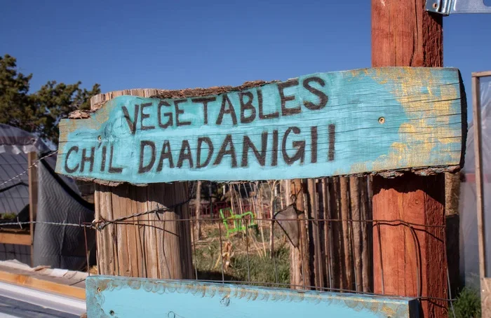 To reclaim ‘soil justice’ Diné Nation in US taxed junk food and used proceeds to fund community wellness