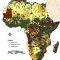 Report calls for new diagnosis of Africa’s instability that’s not shaped by specific interests or ideology