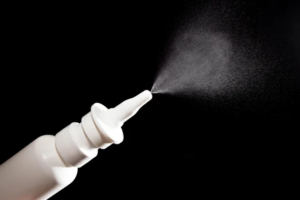 Researchers in advanced stages of developing nose spray vaccines they hope can quash Covid variants