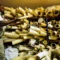 Zimbabwe seeks international support to sell seized ivory stockpile to raise $854 million for elephant conservation