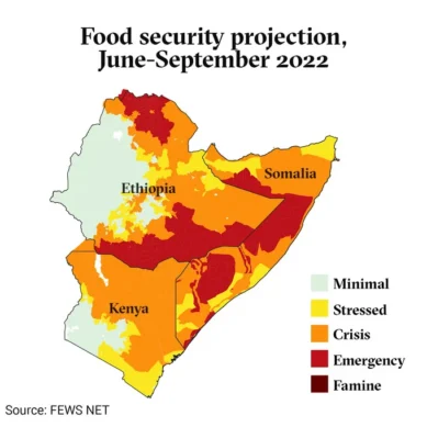 How drought and food shortages are wreaking havoc on Kenya, Somalia, Ethiopia, South Sudan…by numbers