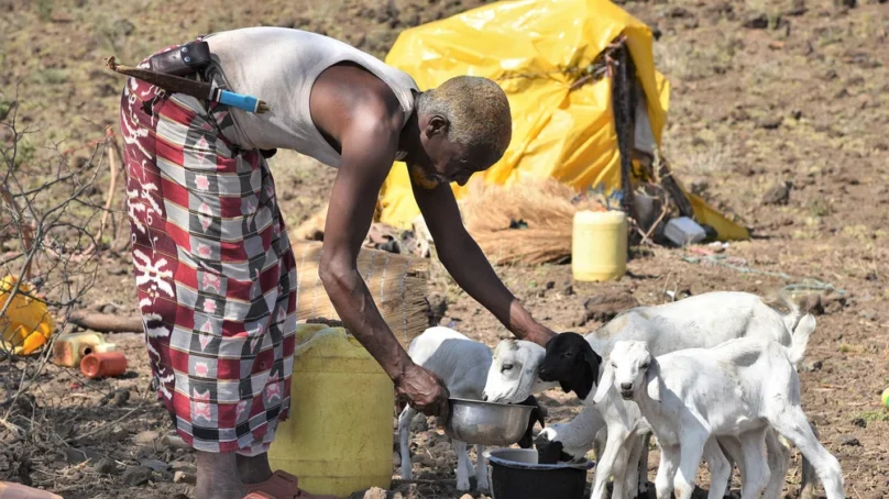 Four seasons without rain puts 17 million people in Horn of Africa at risk of famine, made worse by war in Ukraine