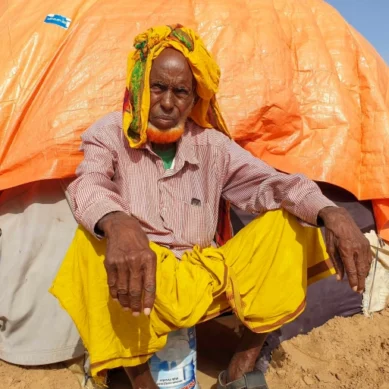 People, livestock die in rural Somalia as Horn of Africa nation grapples with worst drought in 40 years