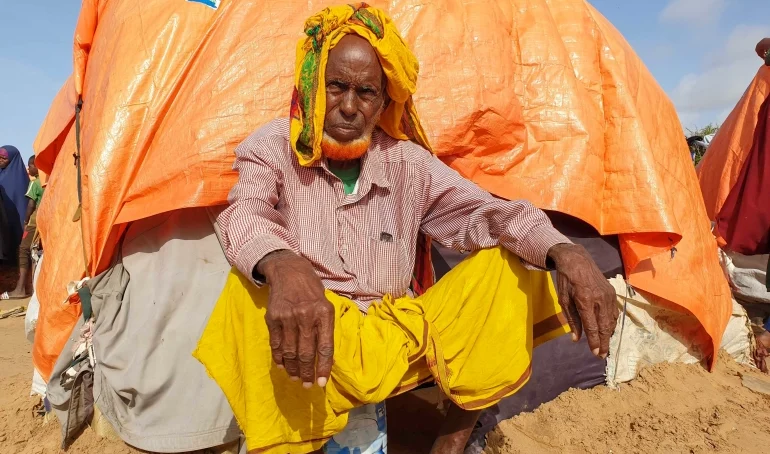 People, livestock die in rural Somalia as Horn of Africa nation grapples with worst drought in 40 years