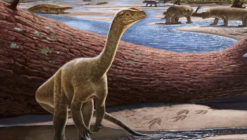 A two-legged dinosaur discovered in Zimbabwe rated the oldest ever found in Africa