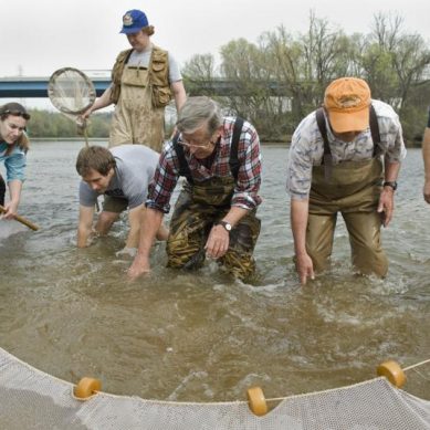 Legal fight and environmentalists campaign in US to protect tiny snail darter helps define fish