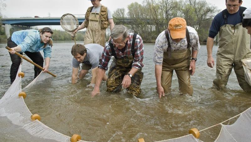 Legal fight and environmentalists campaign in US to protect tiny snail darter helps define fish