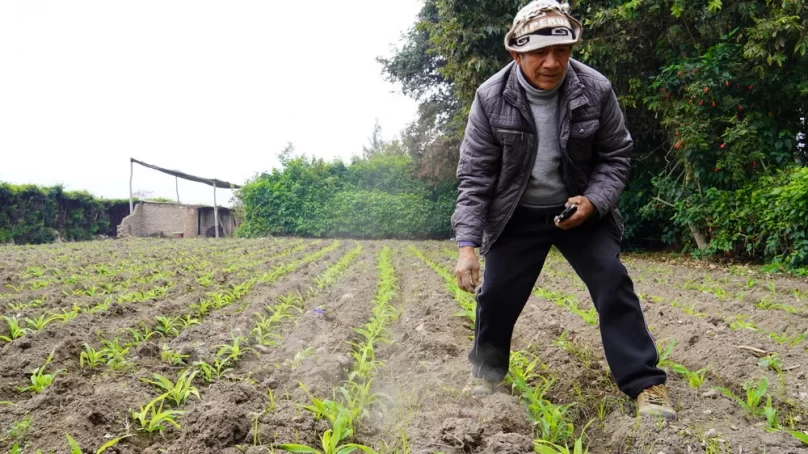 Despite availability, WFP says most Peruvians can’t afford healthy diet due to high food prices