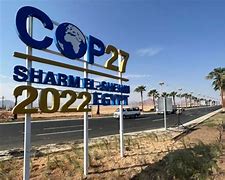 Egypt COP27: Why governments should set attainable targets for clean energy to cut carbon emissions by 2025