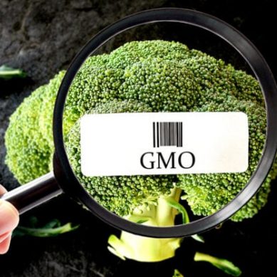 US Centre for Food Safety challenges GMO in court to shield consumers and the earth from harmful agriculture