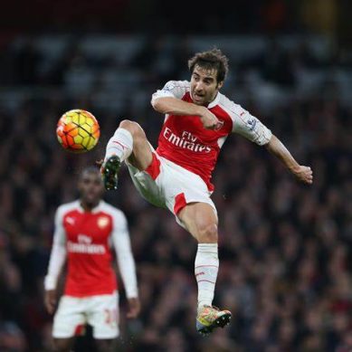 Ex-Arsenal classy midfielder Flamini is now at the centre of multibillion dollar conservation firm after quitting football