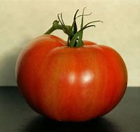 Ohio State University research says tomato consumption lowers heart disease, cancer and diabetes risks