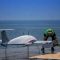 Limited resources and rising security threats are forcing Africa to adopt drone technology for maritime surveillance