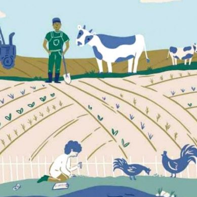40-year trial shows organic farming produces higher yields, profits for farmers during droughts