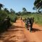 Kenya Defence Force troops deployed in eastern DR Congo praised for freezing out ADF rebels North Kivu