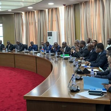  Fact finding mission: AU set to play an enhanced role in stabilisation of war-torn eastern DR Congo