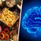 How sugar creates junk brains: Bingeing on sweets and sweetened beverages for as little as six weeks can make you ‘stupid’