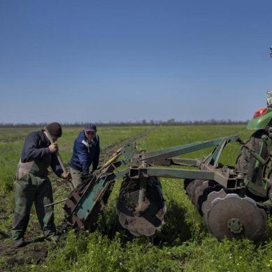 Ukraine grain growers risk their lives to strip their farms of explosives ahead of critical planting season