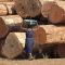 Swathes of Central African Republic forests under threat from Chinese, French and Lebanese loggers