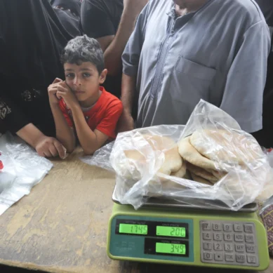 Gaza receives largest aid shipment as deaths top 8,000 and Israel widens military offensive