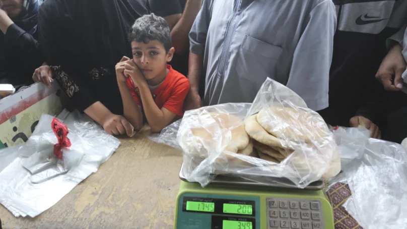 Gaza receives largest aid shipment as deaths top 8,000 and Israel widens military offensive
