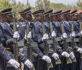 Kenyan court extends orders barring deployment of police to Haiti for two more weeks